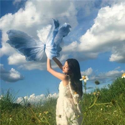 虾米小白鲸